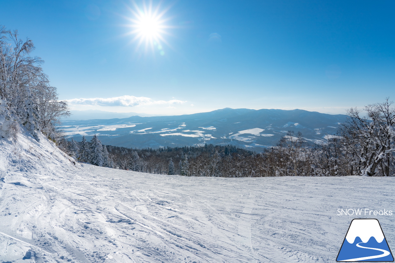 カムイスキーリンクス｜2024年の初滑りは、積雪豊富でコンディション抜群。日本最北のゴンドラリフトがある、旭川市のカムイスキーリンクスへ！